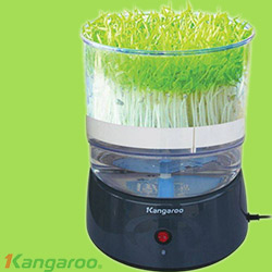 Máy làm rau mầm Kangaroo KG261